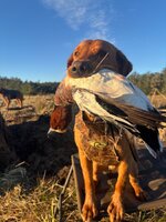 IMG_1895.jpeg