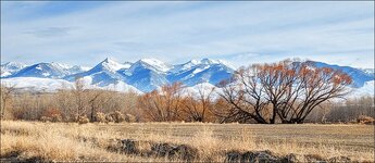 PXL_20220310_163534384[1].jpg