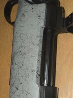 20260423_161429.jpg