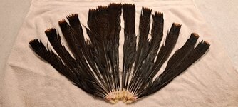 IMG_20260506_091542.jpg