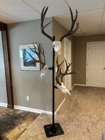 Trophy Tree_2.jpg