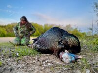 IMG_1650.jpeg