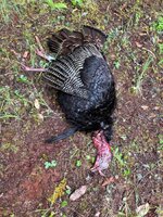 IMG_9833.jpeg