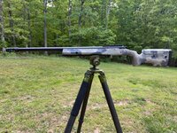 IMG_2942.jpeg