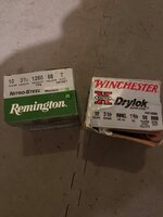 IMG_5268.jpeg