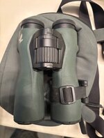 IMG_4452.jpeg