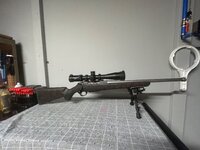 IMG_3596.jpeg