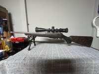 IMG_3597.jpeg