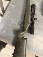 IMG_6553.jpeg