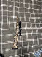 IMG_1853.jpeg