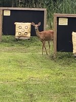 IMG_6741.jpeg