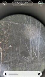 IMG_1697.jpeg