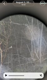 IMG_1698.jpeg