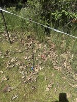IMG_1665.jpeg