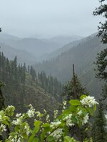 IMG_2986.jpeg