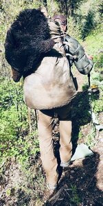 IMG_3301.jpeg
