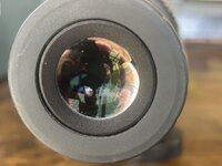 IMG_4861.jpeg