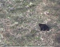 IMG_0148.jpeg