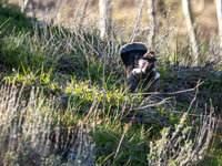 LK-5073261-3.jpg