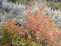 IMG_1119.jpeg