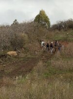IMG_2417.jpeg