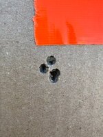 IMG_9300.jpeg