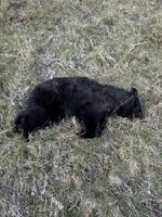 IMG_6881.jpeg