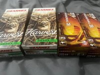 IMG_1035.jpeg