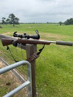 IMG_7945.jpeg