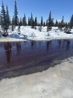 IMG_5618.jpeg
