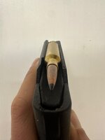 IMG_3403.jpeg
