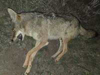 20260508_015555.jpg