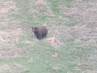 IMG_1104.jpeg