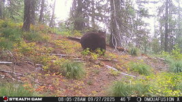 IMG_9636.jpeg
