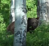IMG_5570.jpeg