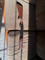 IMG_3521.jpeg