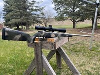 IMG_0168.jpeg