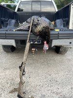 IMG_6811.jpeg