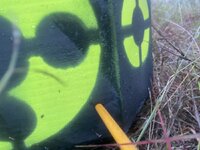 IMG_9824.jpeg