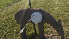 IMG_1573.jpeg