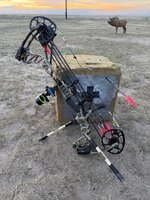 IMG_3752.jpeg