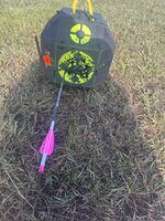 IMG_7871.jpeg