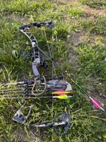 IMG_9320.jpeg