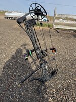 IMG_7612.jpeg