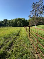 IMG_6426.jpeg