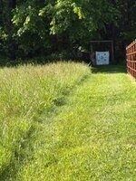 IMG_6427.jpeg