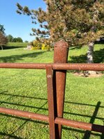 IMG_6431.jpeg