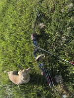 IMG_8460.jpeg