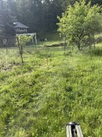 IMG_1933.jpeg