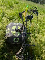19543.jpg